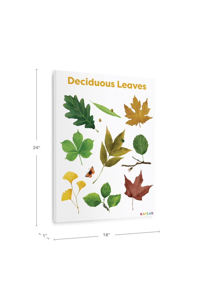 Deciduous Leaves Giclee Classroom Wall Print, Alternate, color, green