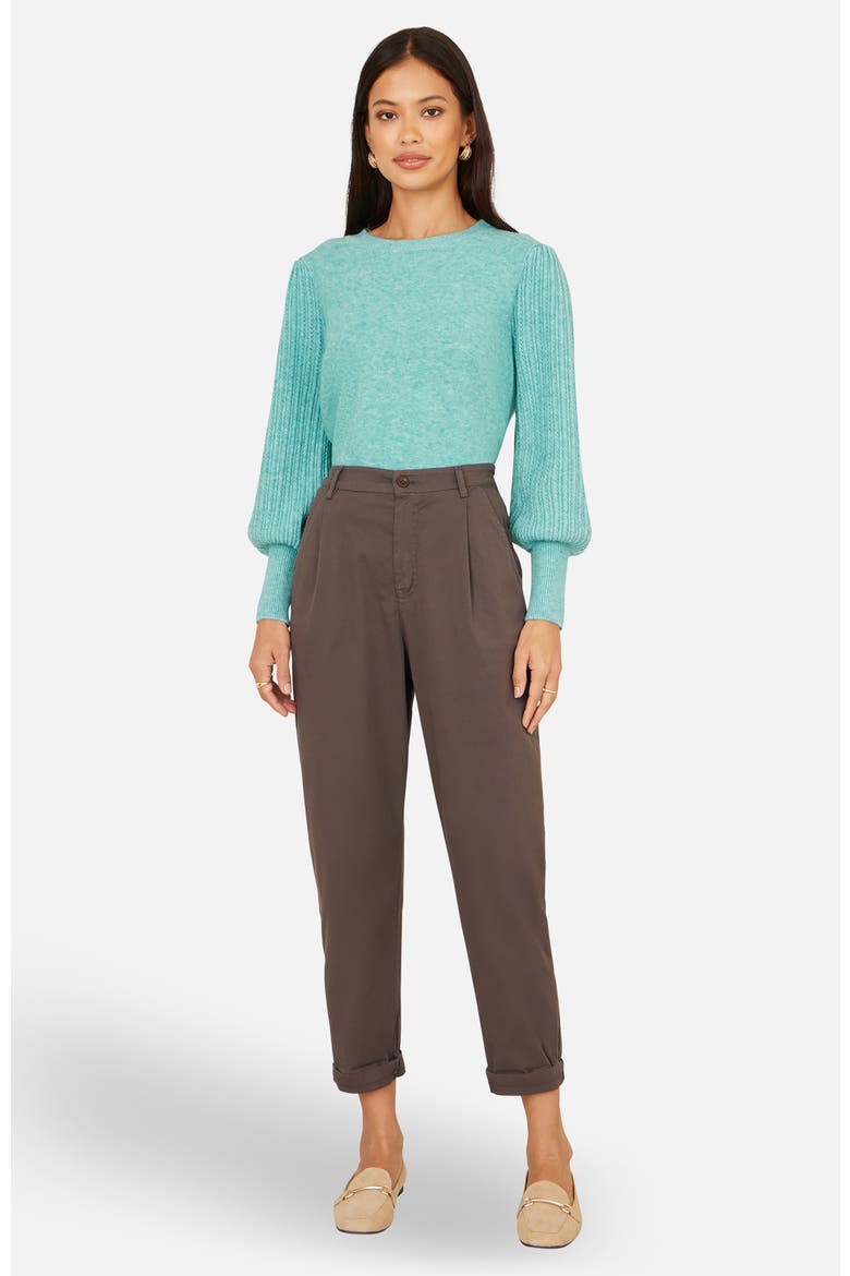 Cotton Canvas Chino Trousers, Alternate, color, Brown