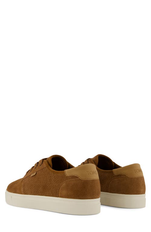 Toms Carlo 2.0 Perforated Sneaker In Multi