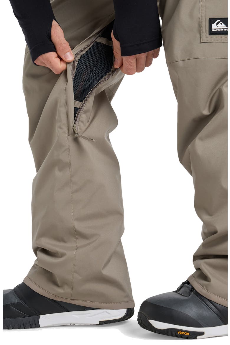Porter Waterproof Snow Pants, Alternate, color, FALLEN ROCK