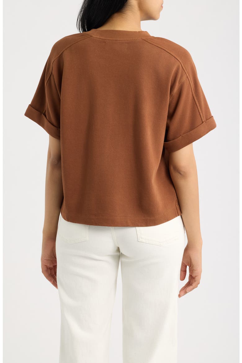 Brie Boxy Short Sleeve Sweatshirt, Alternate, color, TAWNY