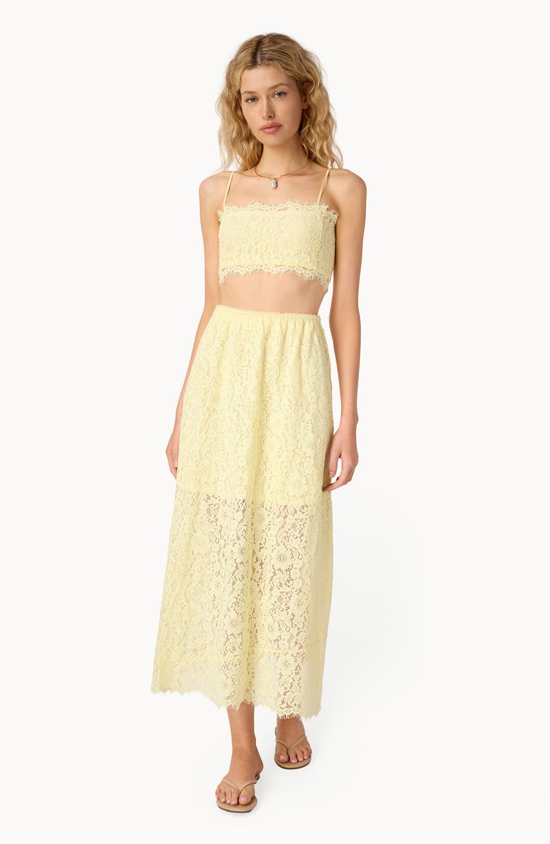 CAMI NYC Sofie Lace Crop Camisole, Alternate, color, Buttercup