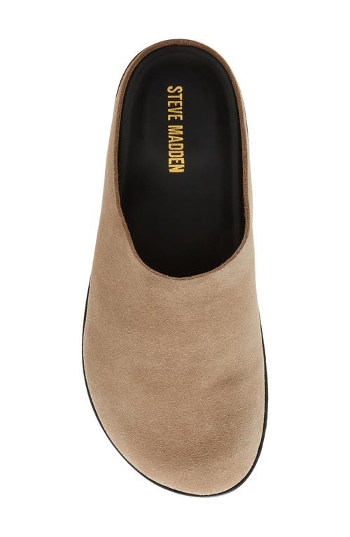 Steve Madden Luis Slipper In Brown