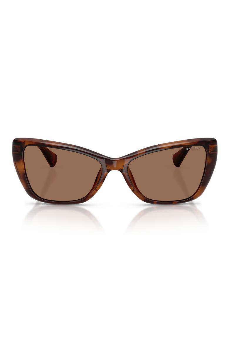 56mm Cat Eye Sunglasses, Main, color, SHINY DARK HAVANA / BROWN