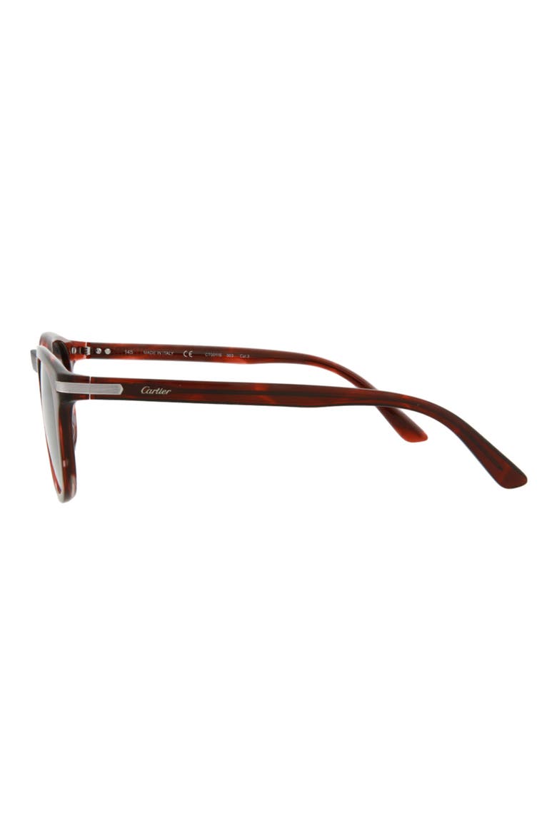 51mm Oval Sunglasses, Alternate, color, HAVANA HAVANA GREY