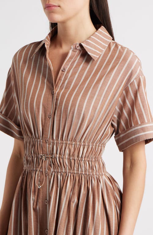 En Saison Stripe Cotton Midi Shirtdress In Brown