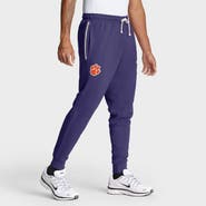 Nike Men's Nike Purple Clemson Tigers 2025 Sideline Performance Taper Pants