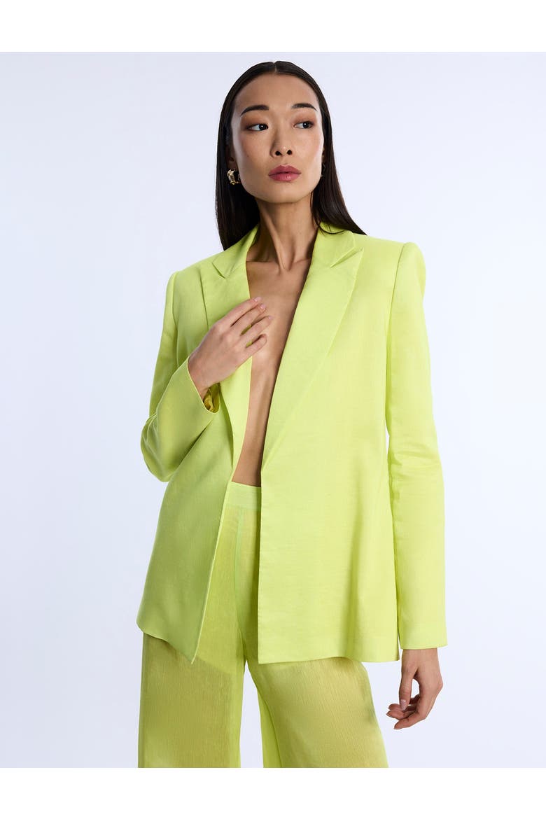 Airy Textured Blazer, Alternate, color, Chartreuse