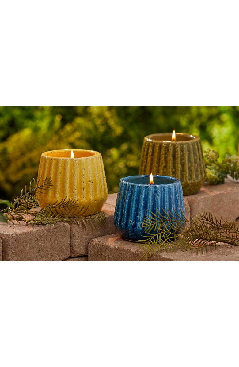 tag Citronella Scented Candle in Yellow Terra Cotta Pot, Alternate, color, Yellow