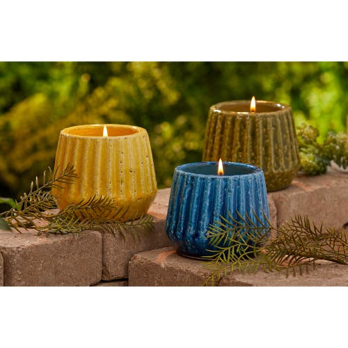 Tag Citronella Scented Candle In Yellow