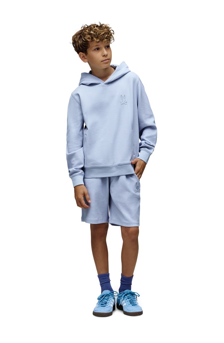 Psycho Bunny Kids' Kai Twill Texture Cotton Blend Hoodie, Alternate, color, Zen Blue