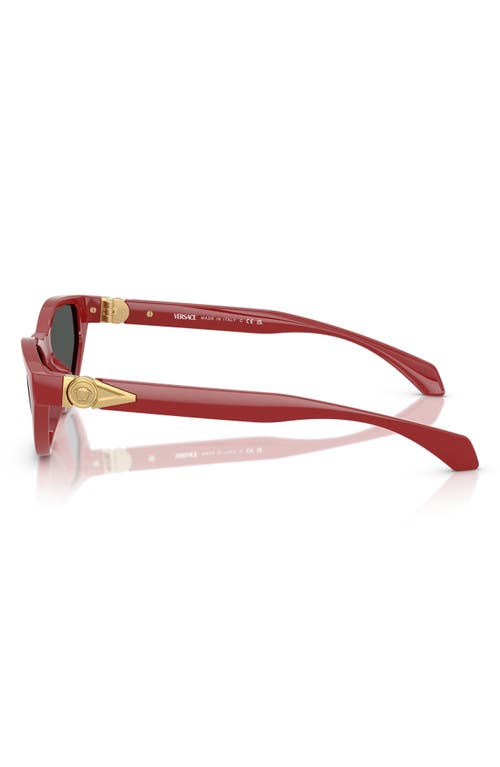 Versace 55mm Cat Eye Sunglasses