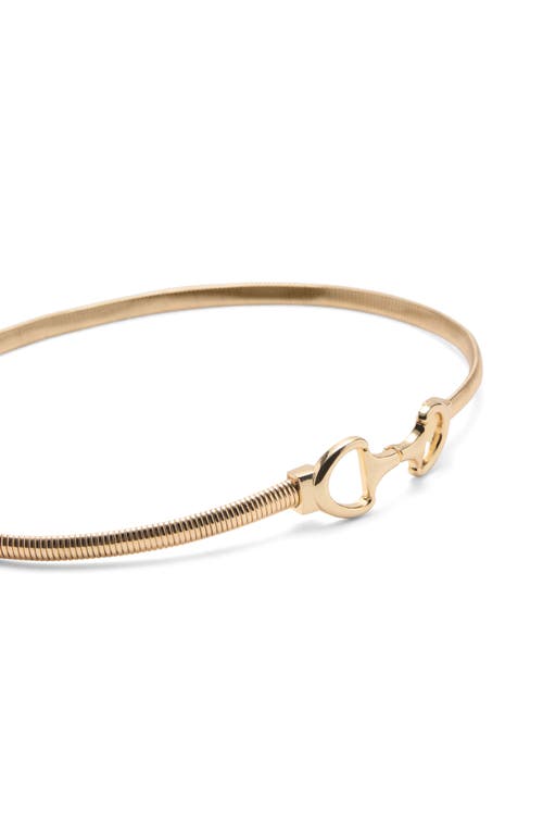 Mango Link Belt In Gold