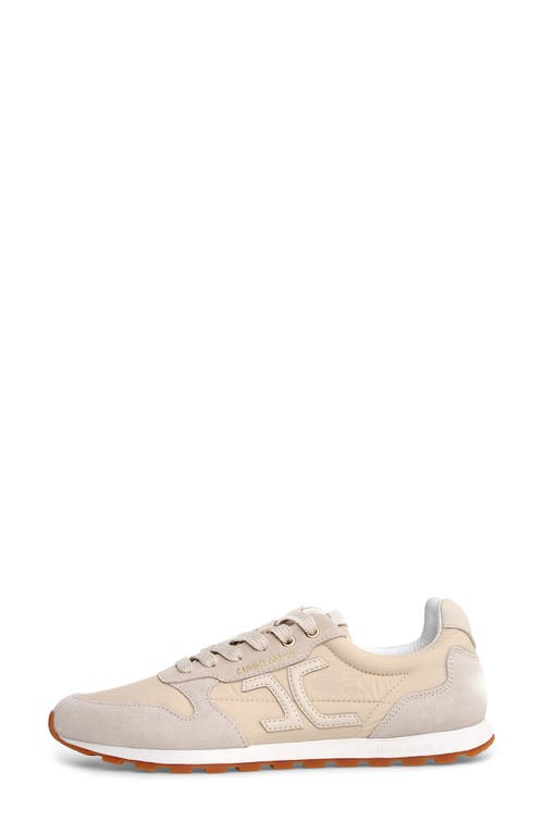 Candice Cooper Plume 3 Sneaker In Milk