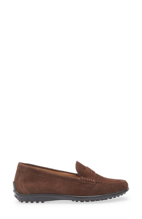 The Flexx Winter Driving Shoe In Brown