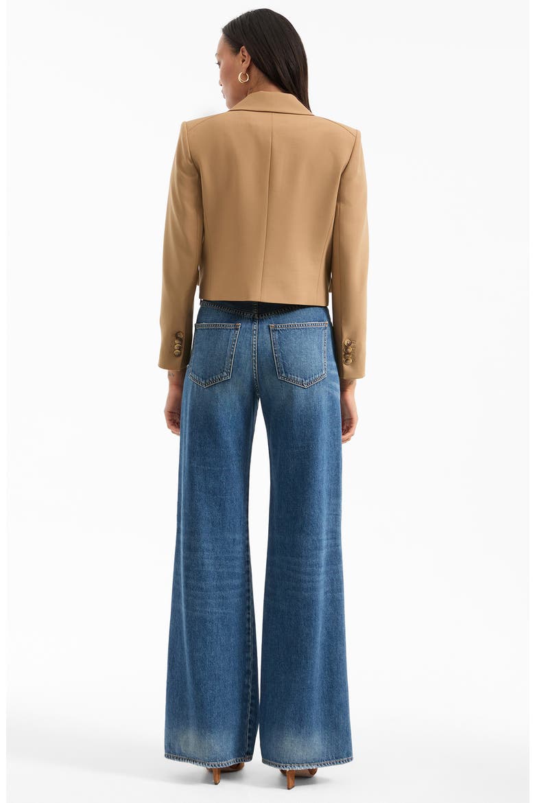 Wilkie Cropped Jacket, Alternate, color, HAZELNUT