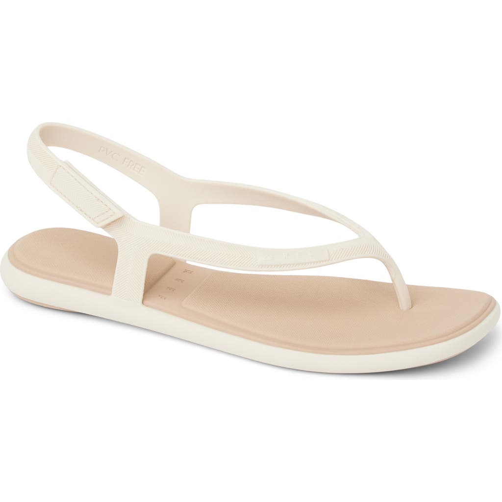Reef Water Willow Maya Slingback Sandal