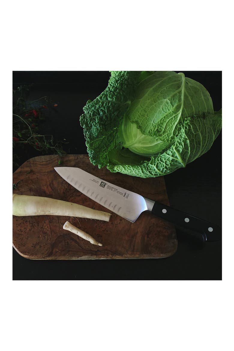 Pro 7-Inch Rocking Santoku Knife, Alternate, color, SILVER