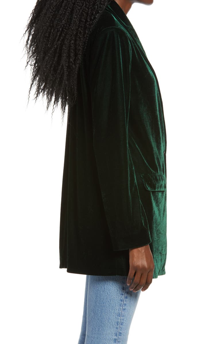 Endless Rose Velvet Blazer, Alternate, color, Green