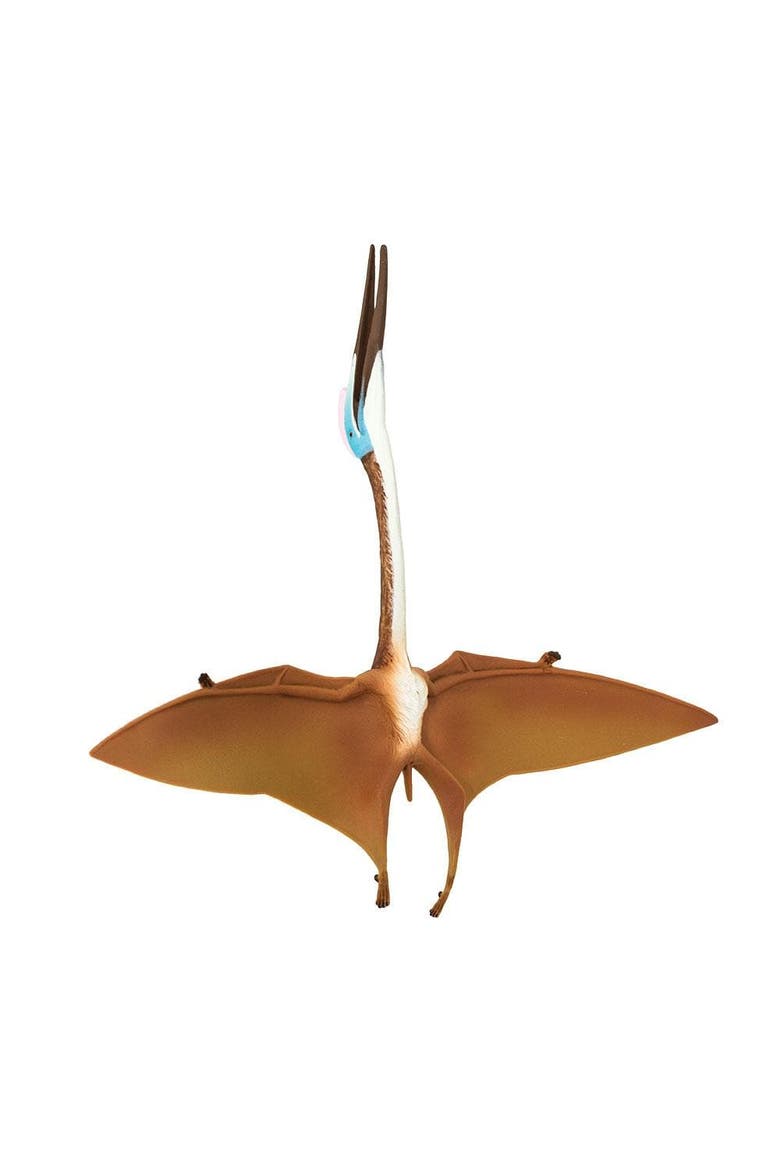 Quetzalcoatlus Toy, Alternate, color, No Color