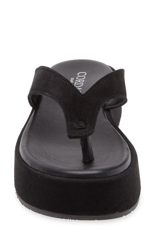 Cordani Kendra Platform Flip Flop In Black Suede