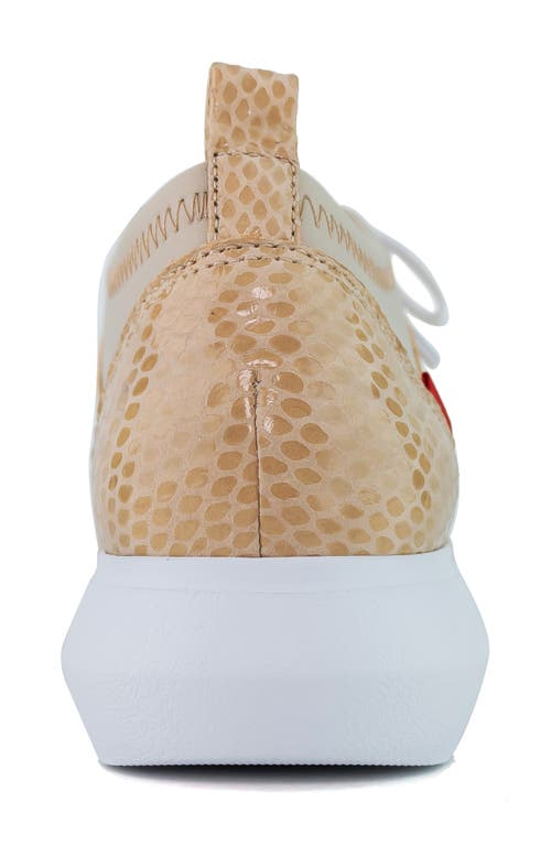 Marc Joseph New York Alaska Street Sneaker In Nude Snake