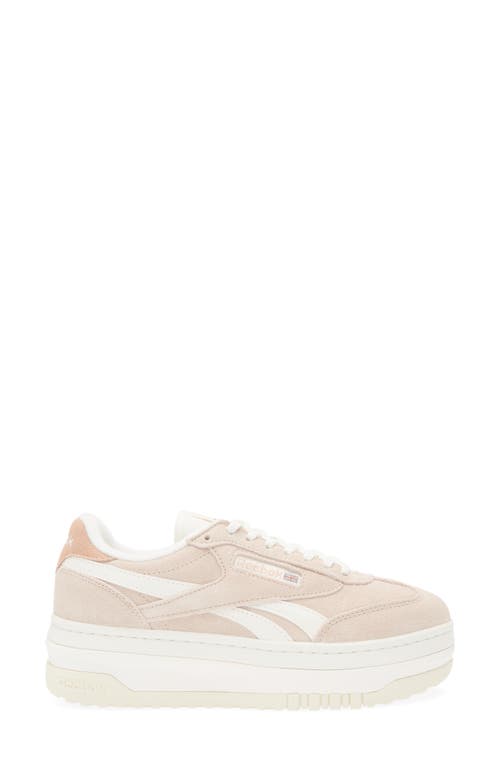Reebok Campio Extra Platform Sneaker In Multi
