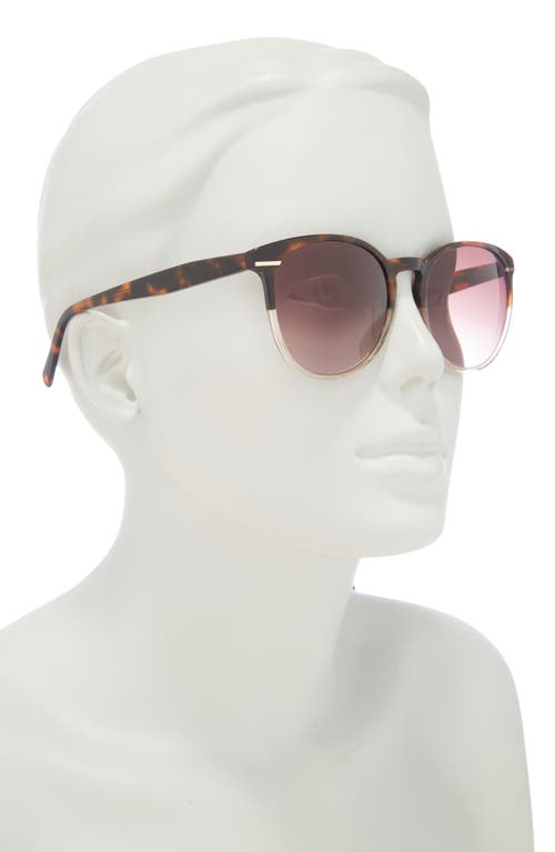 Ted Baker London 55mm Full Rim Round Sunglasses In Brown