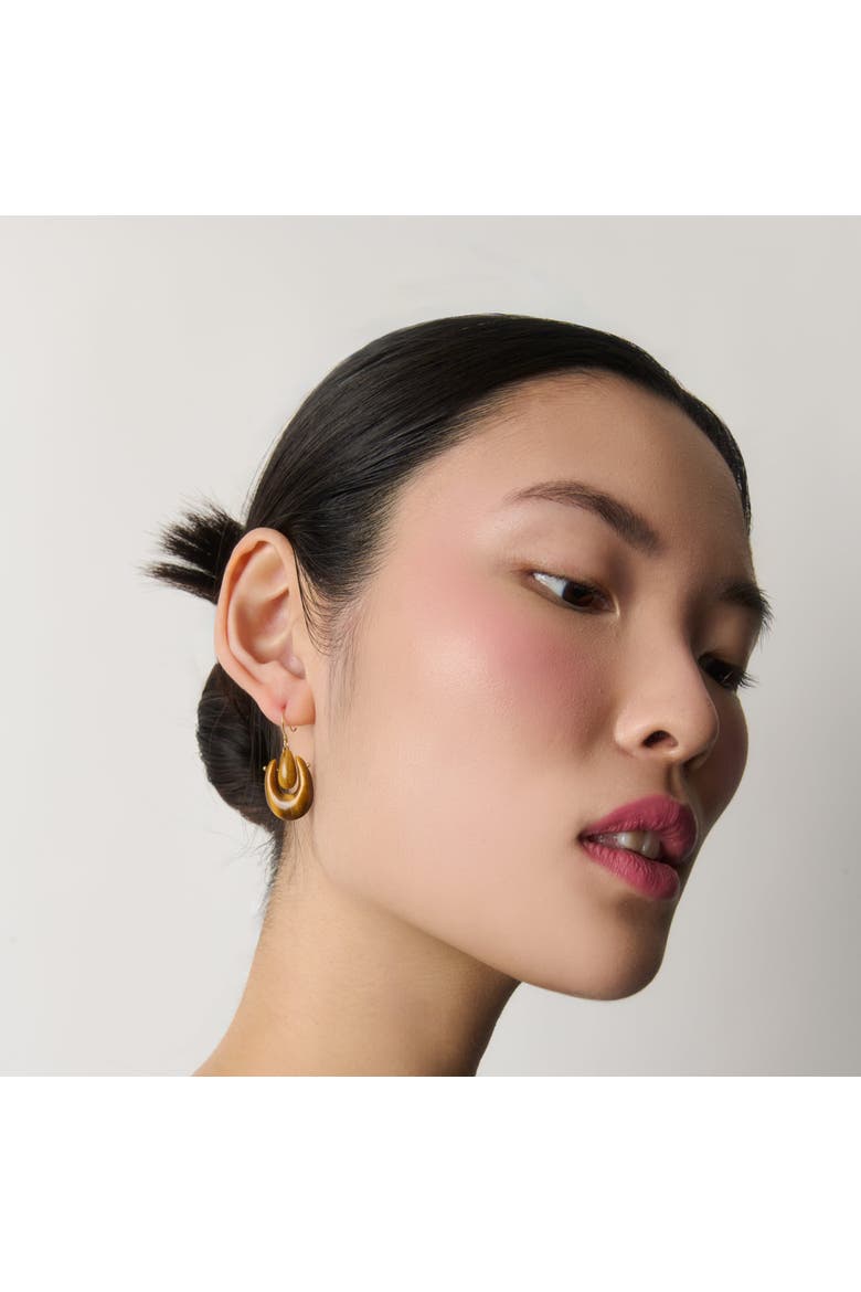 Small Tiger's Eye O'Keefe Drop Earrings, Alternate, color, Tiger's Eye