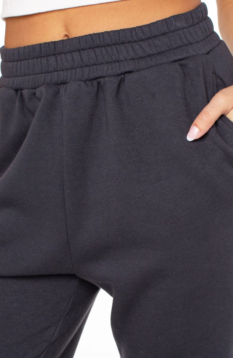 Roxy Hike Joggers, Alternate, color, 