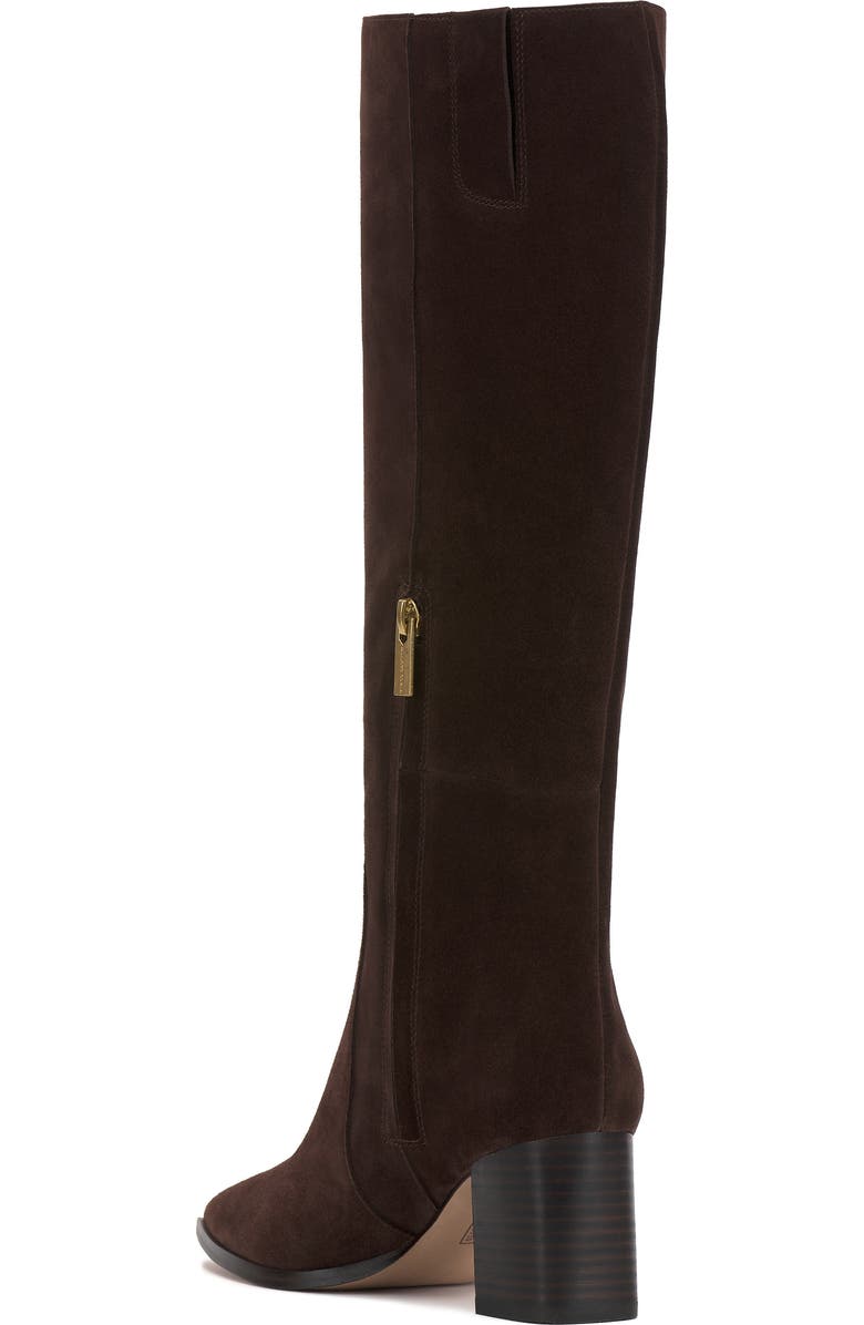 Vince Camuto Lumina Pointed Toe Boot, Alternate, color, Brownie Verona