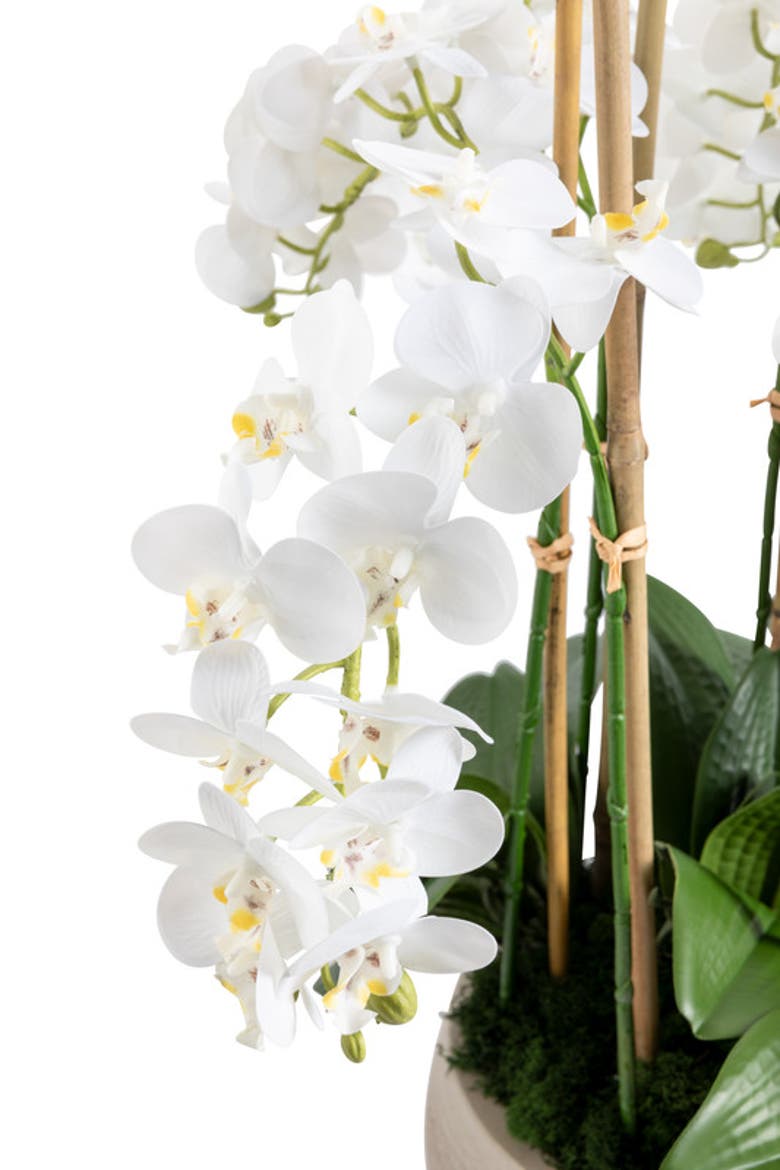 Briar RealTouch Orchid Arrangement, Alternate, color, Snow