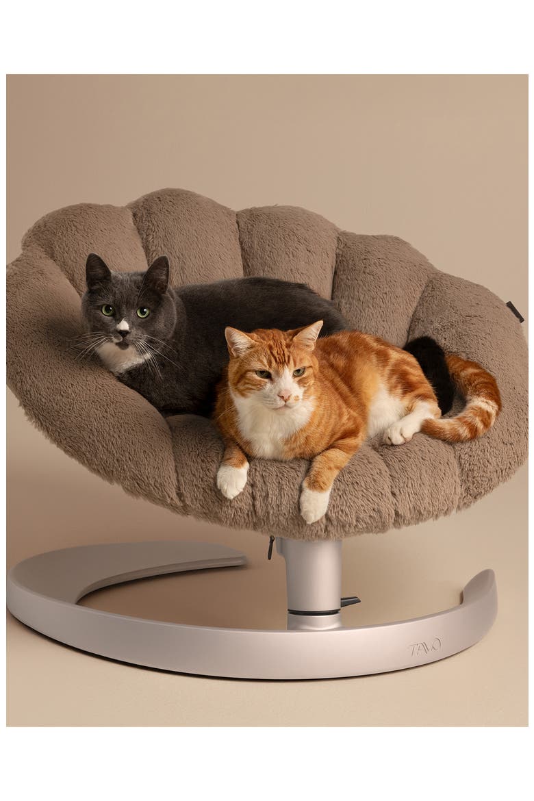 Shell™ Pet Bed & Swaying Lounger, Alternate, color, CARAMEL
