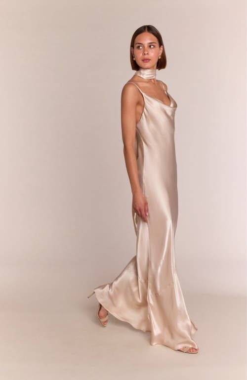 Rewritten Pollenca Cowl Neck Dress