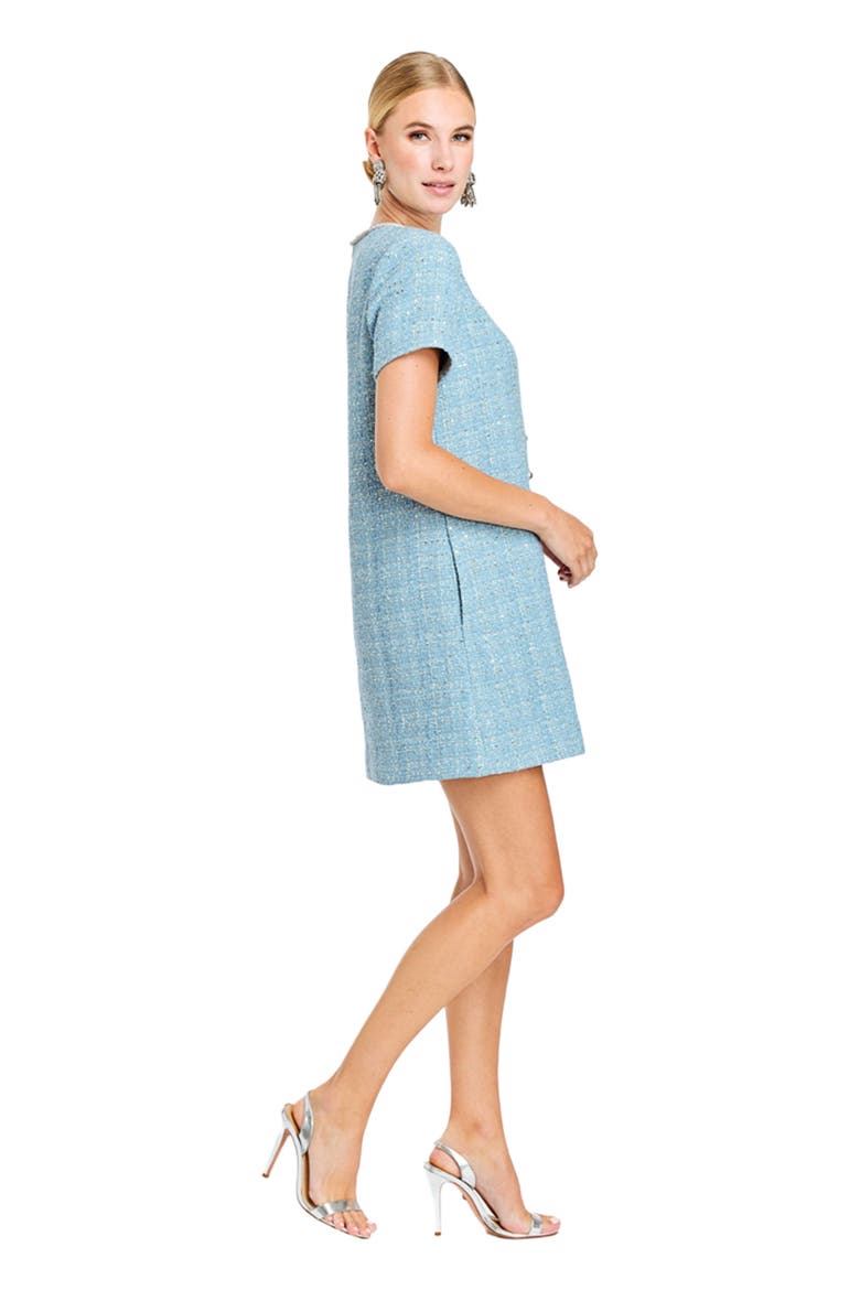 Ainslee Mini Dress, Alternate, color, Blue