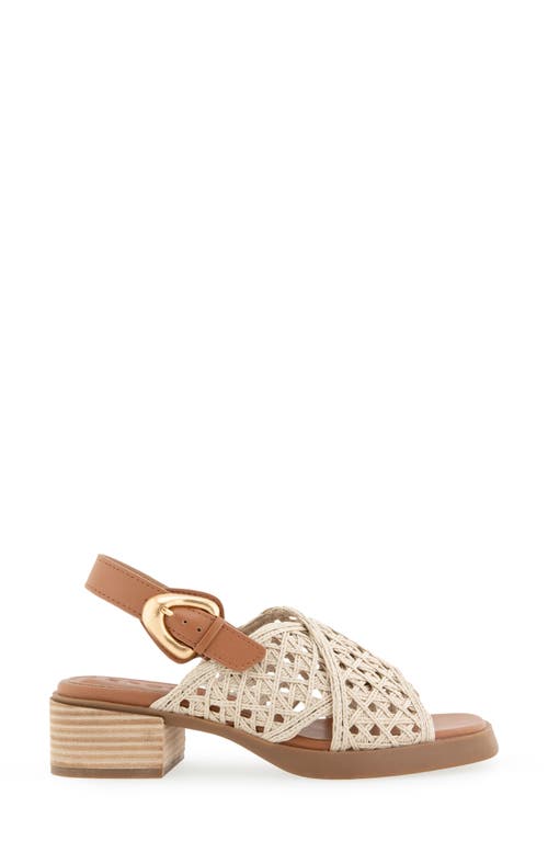 AEROSOLES AEROSOLES DEMI SLINGBACK SANDAL