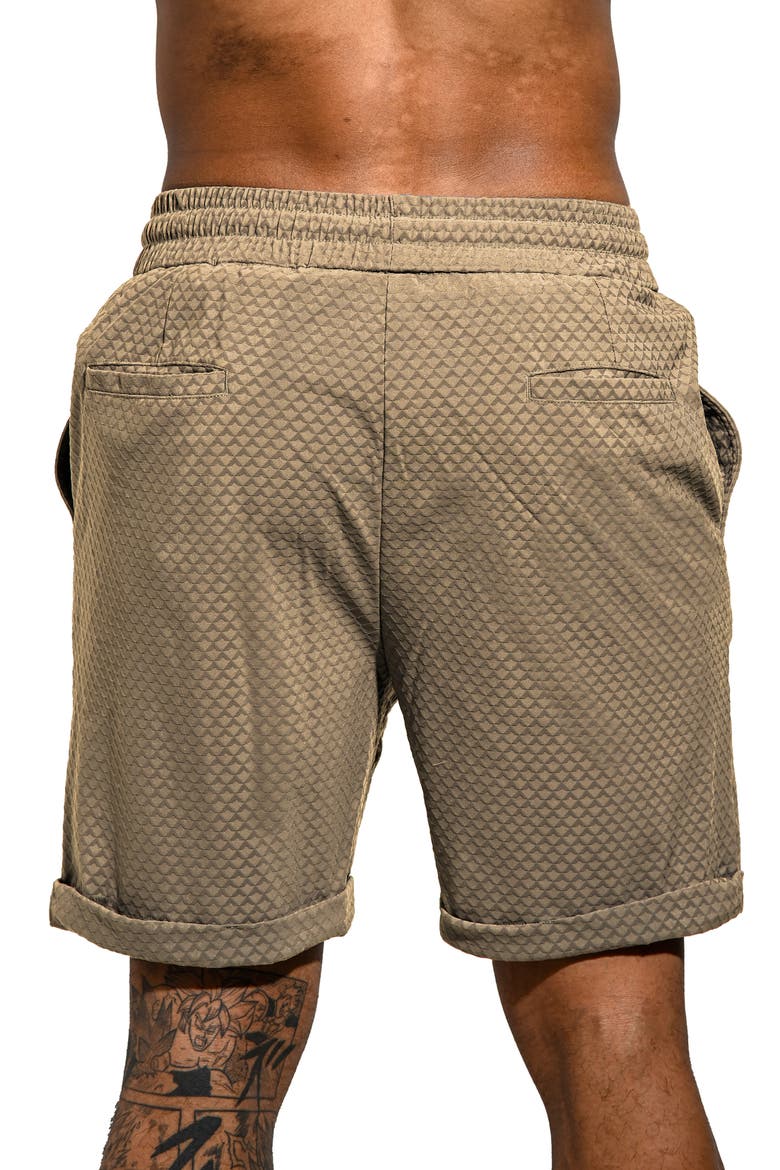 Athgainsboro Cotton Blend Drawstring Shorts, Alternate, color, BROWN