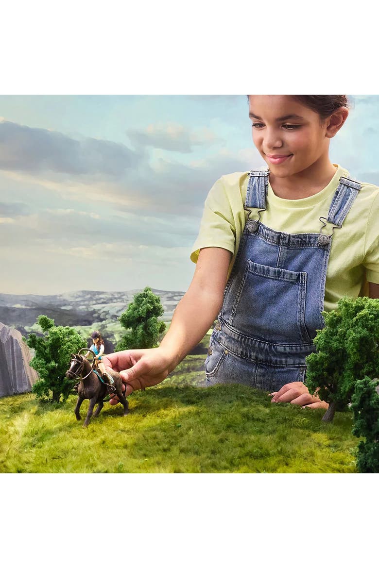 Horse Club Lisa & Storm 7pc Playset, Articulated Rider, Black Horse, Alternate, color, Multicolored