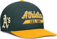 Nike Men's Nike Green/Gold Athletics Pro Performance Snapback Hat