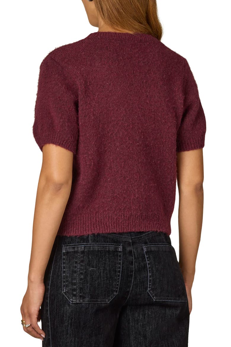 Argyle Short Sleeve Sweater, Alternate, color, PLUM