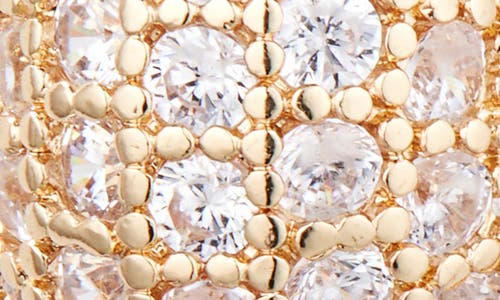 Tasha Cubic Zirconia Hoop Earrings
