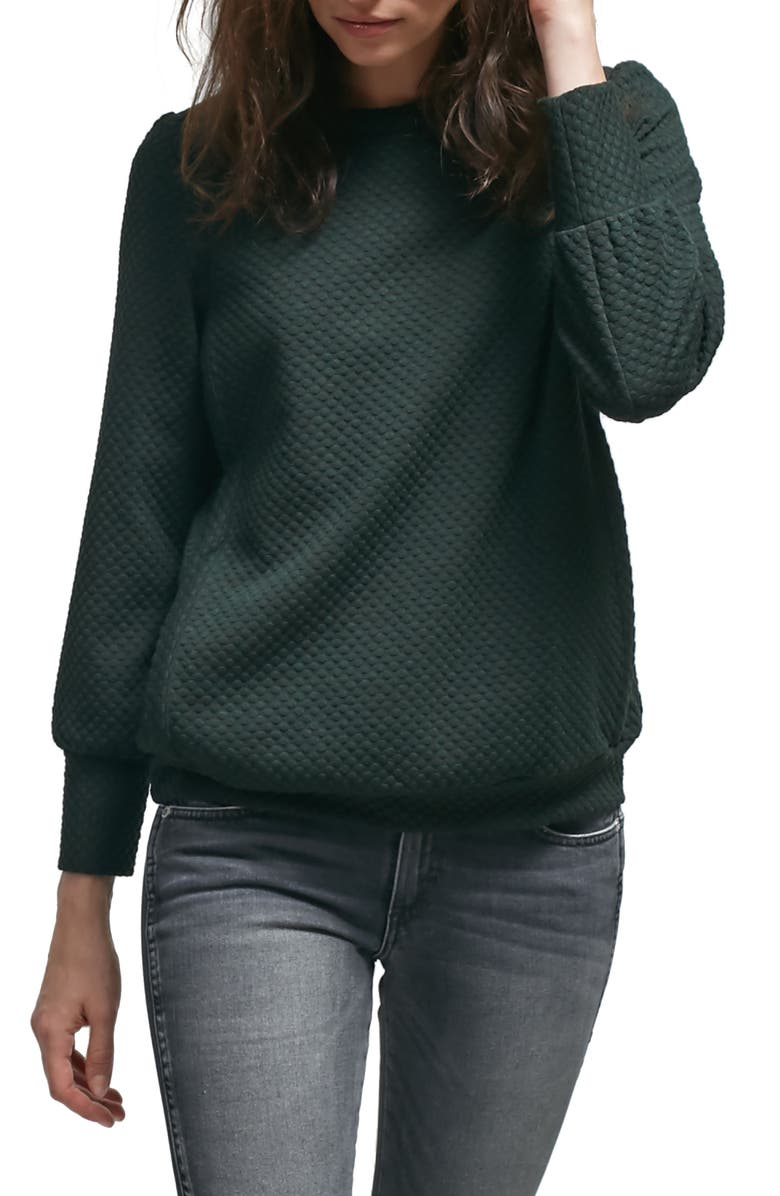Allette Esther Nursing Sweater, Main, color, 