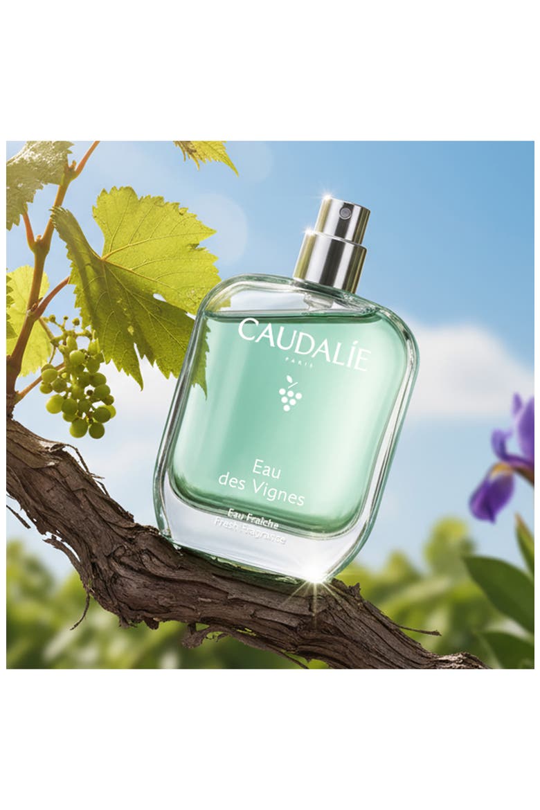 Eau des Vignes Fresh Fragrance, Alternate, color, NO COLOR