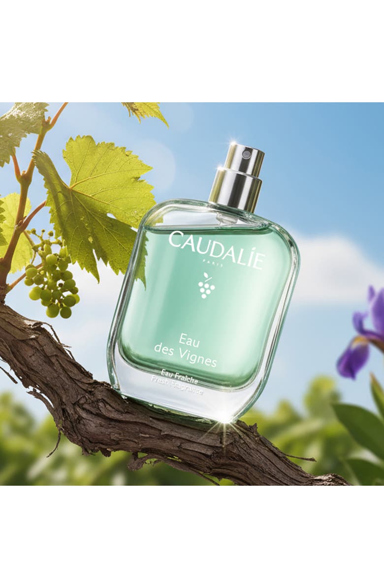 CAUDALÍE Eau des Vignes Fresh Fragrance, Alternate, color, 