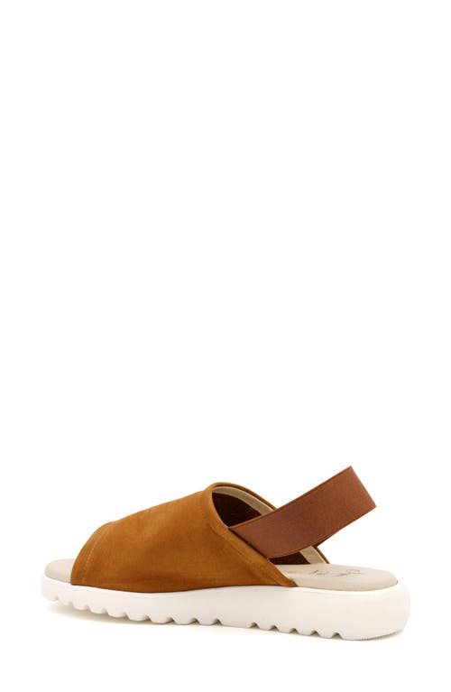 Amalfi By Rangoni Bahamas Slingback Sandal In Cognac Long Beach/black