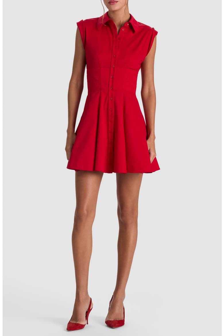 Kim Paneled Corset Fit and Flare Mini Shirtdress, Main, color, HIBISCUS