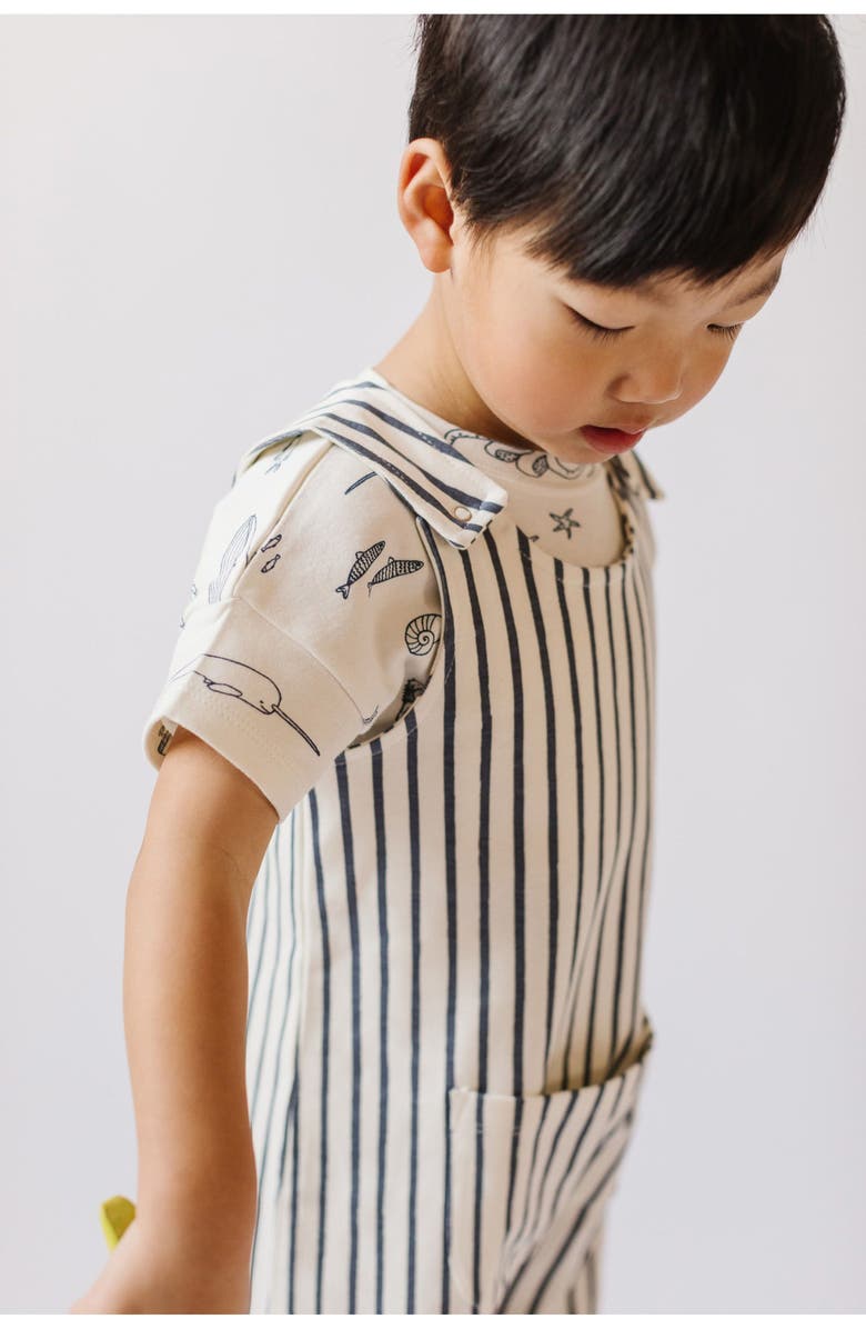 Pehr Stripes Away Organic Cotton Overalls, Alternate, color, 