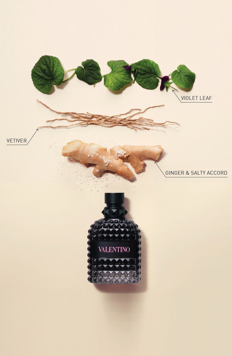 Valentino Uomo Born in Roma Eau de Toilette Set USD $168 Value, Alternate, color,