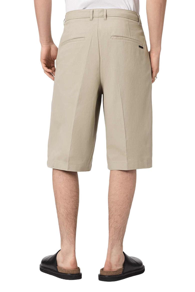 Castro Pleated Cotton Shorts, Alternate, color, PASILLA BROWN