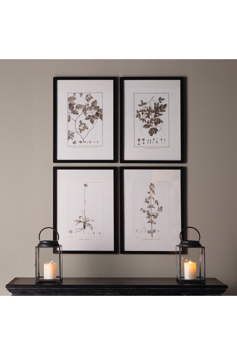 Framed Sepia-Tone Botanical Prints Set of 4, Alternate, color, Black